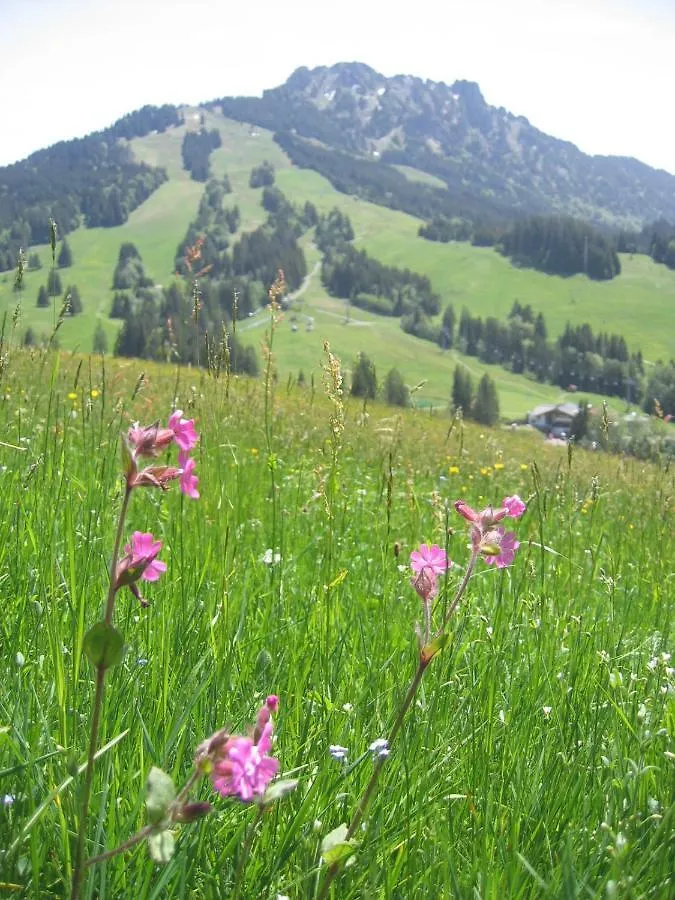Apart Wehrmeister Jungholz Appartamento